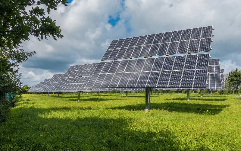 field with many solar panels